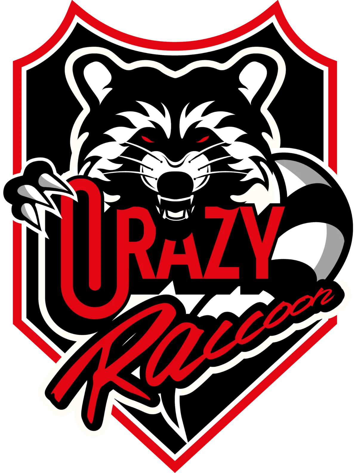 Crazy Raccoon