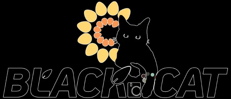 BLACK CAT