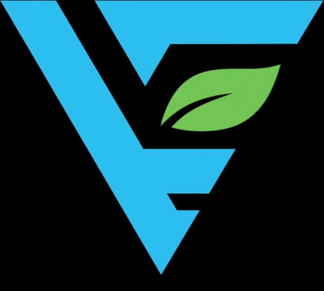 V Esports