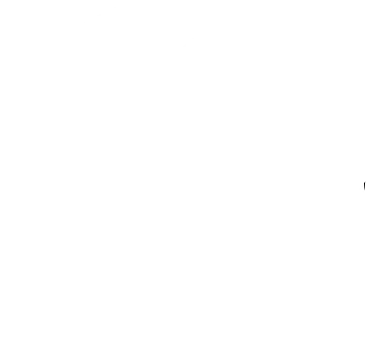 Team Kiri