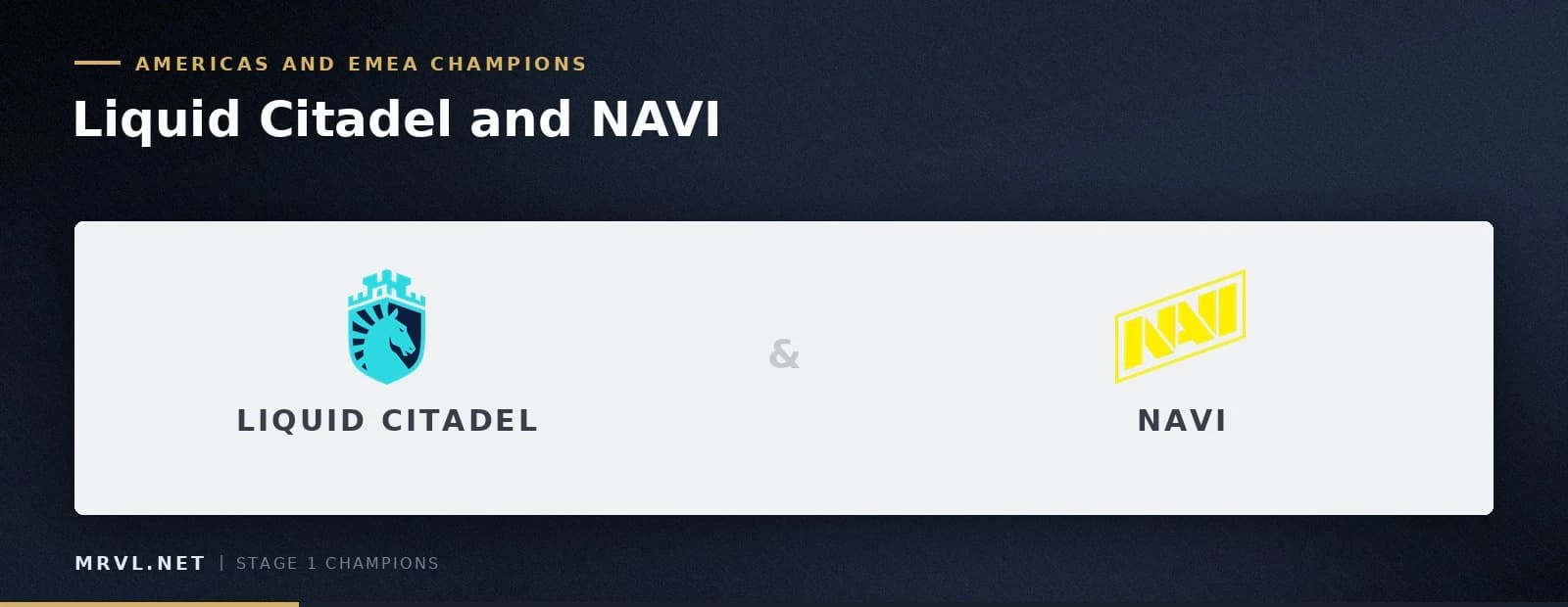 Liquid Citadel won Americas Stage 1 and NAVI won EMEA Stage 1, both without losing a series.